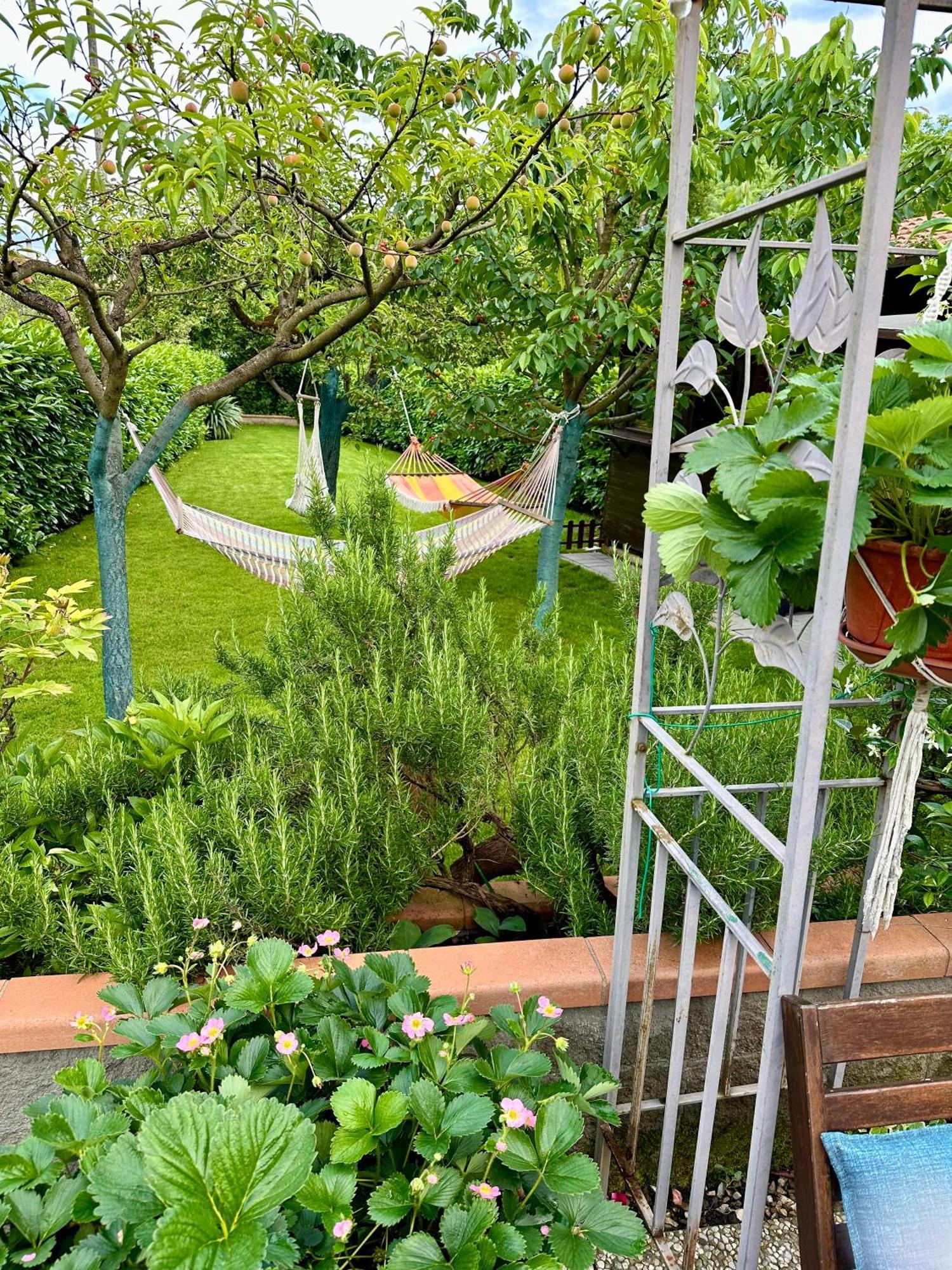 Villa "Corte De' Baldi" Ortignano Raggiolo Ngoại thất bức ảnh